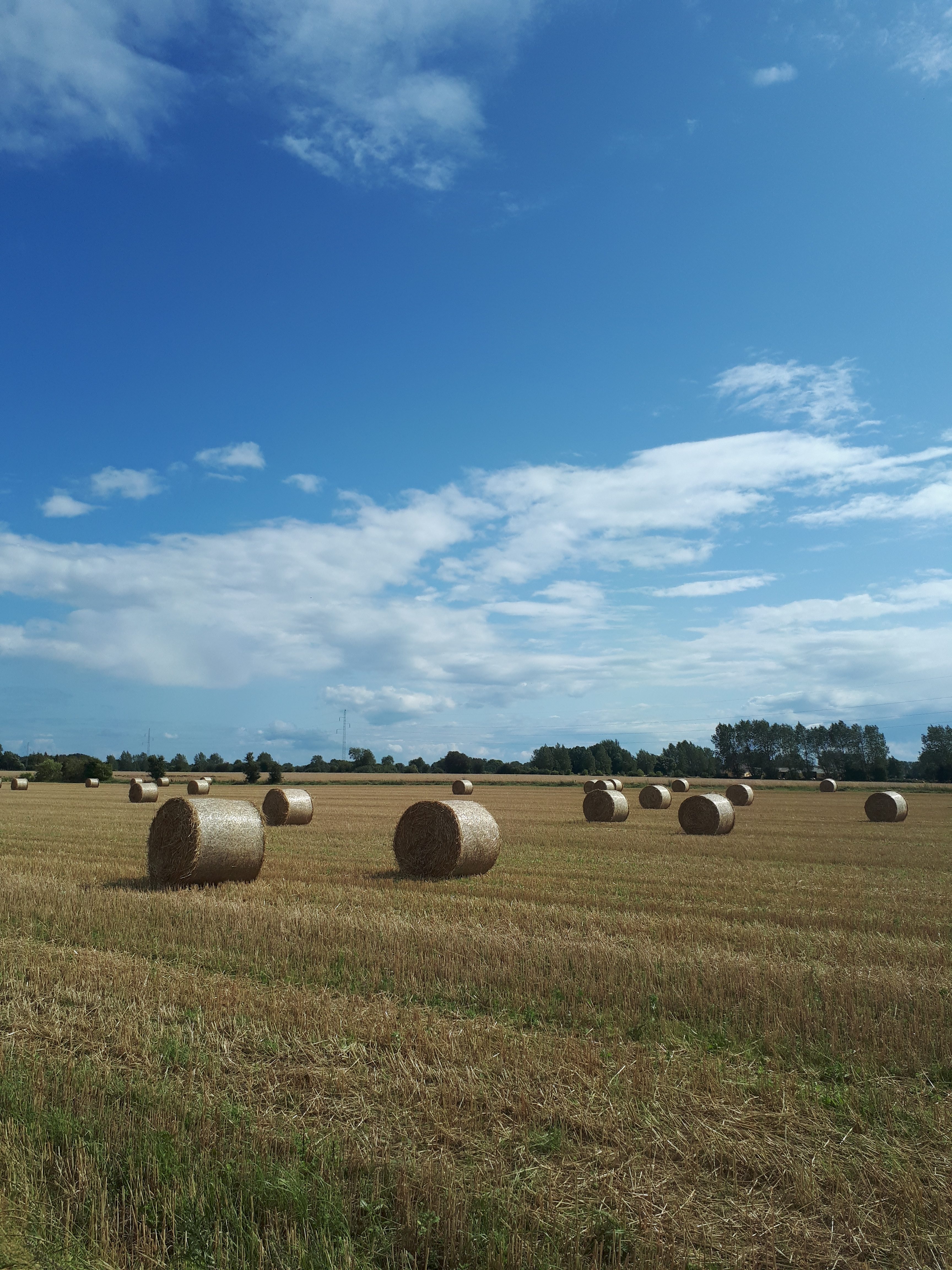 Efterårpåærø